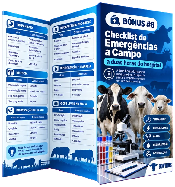 Bônus 6 — Checklist de Emergências a Campo