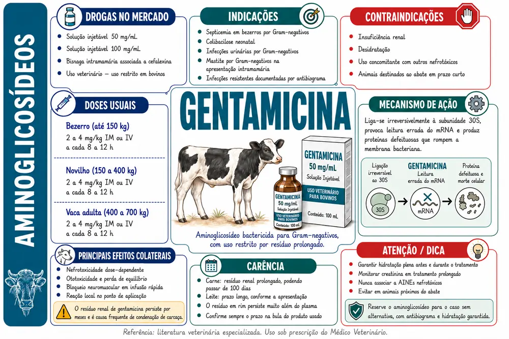 Gentamicina