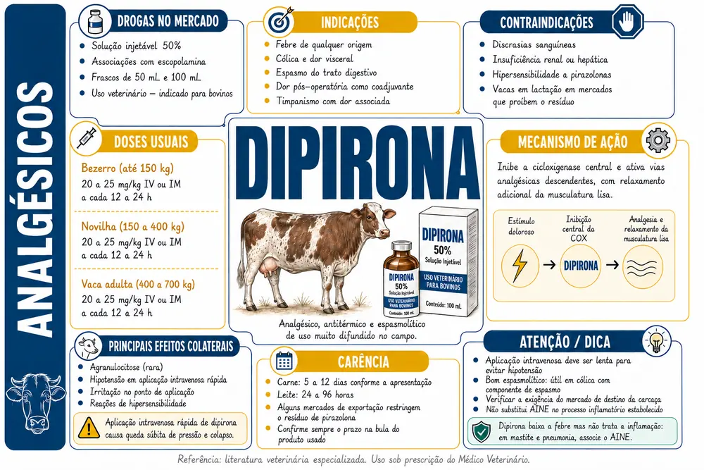 Dipirona